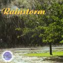 Nature's Rhythms: Rainstorm CD