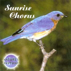 Nature's Rhythms: Sunrise Chorus CD