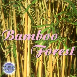 Nature's Rhythms: Bamboo Forest CD