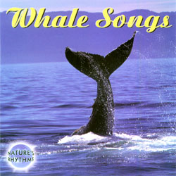 Nature's Rhythms: Whale Songs CD
