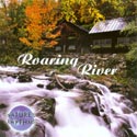 Nature's Rhythms: Roaring River CD