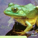 Earthscapes: Frogs CD